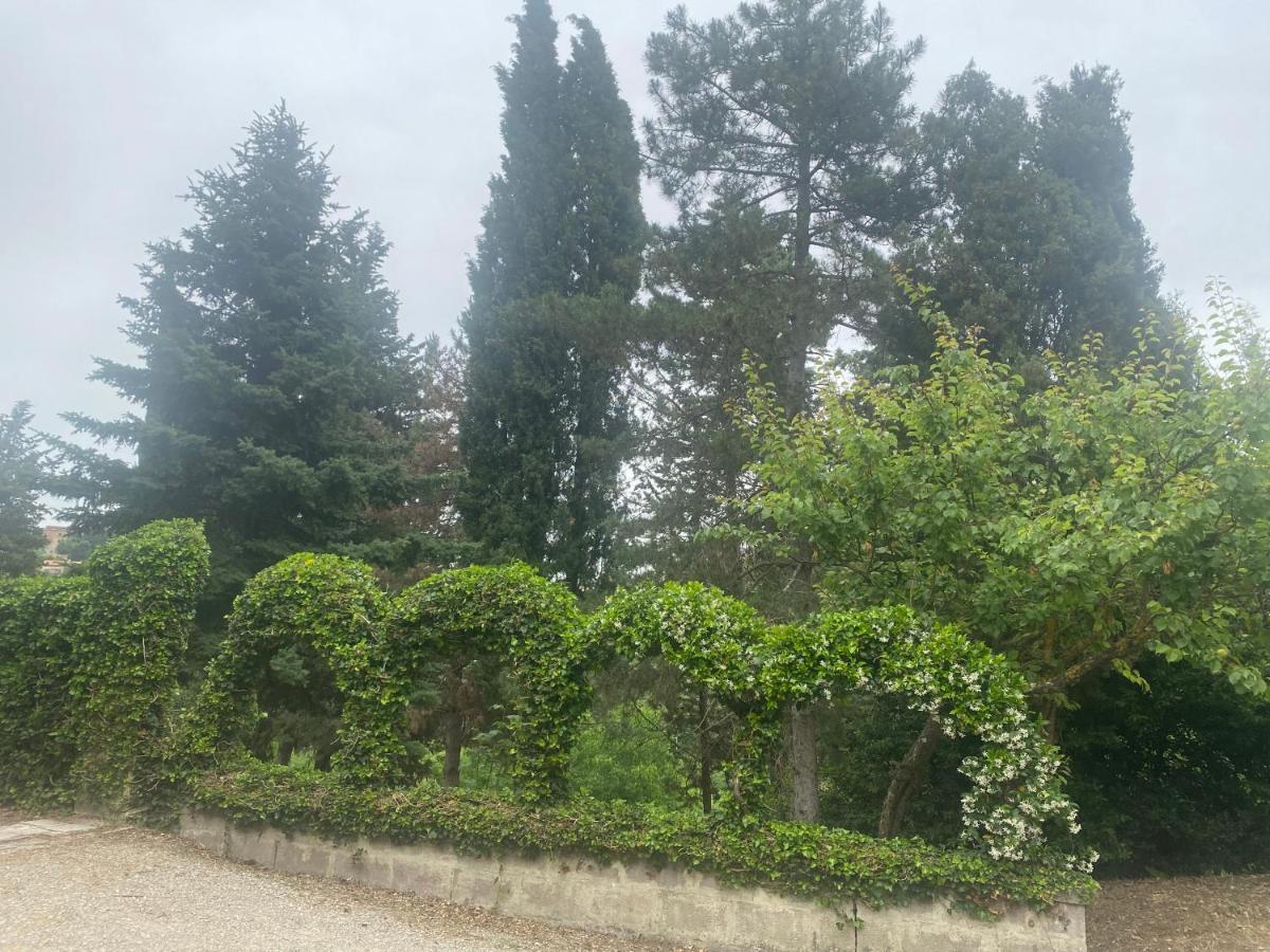 Villa Zara Siena Bagian luar foto